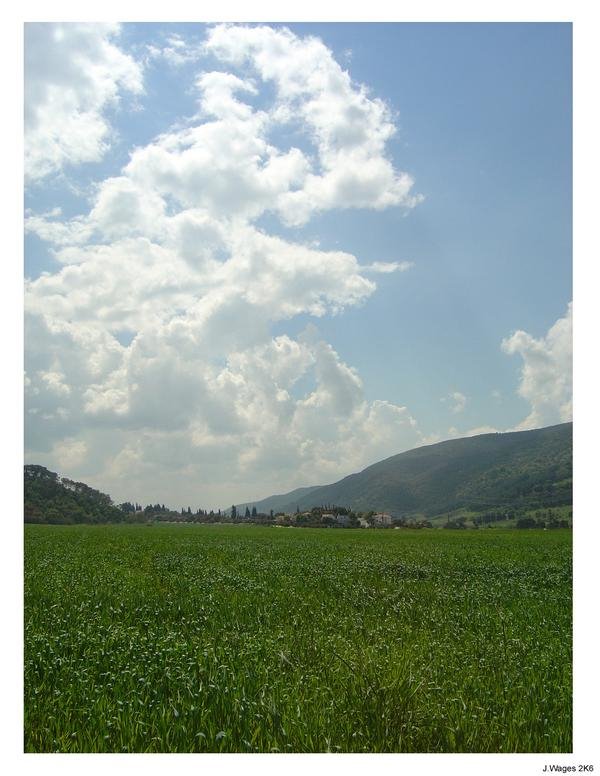 April fields outside of Shaar Haamakim, Кирьят-Тивон