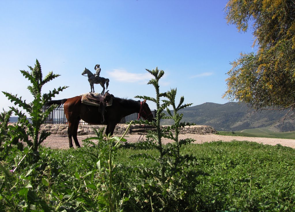 ALEXANDER ZEED TWO HORSES  אלכסנדר זייד על שני סוסים, Кирьят-Тивон