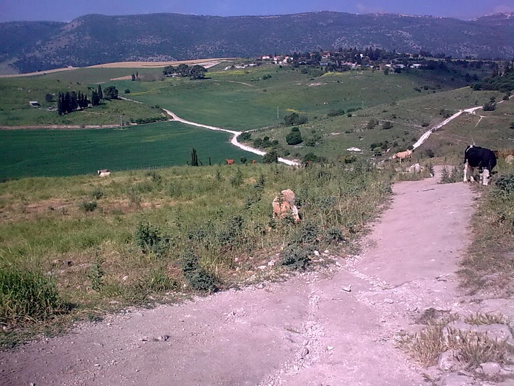 רוכב ישראל-ירידה תלולה לכיוון בית שערים, Кирьят-Тивон