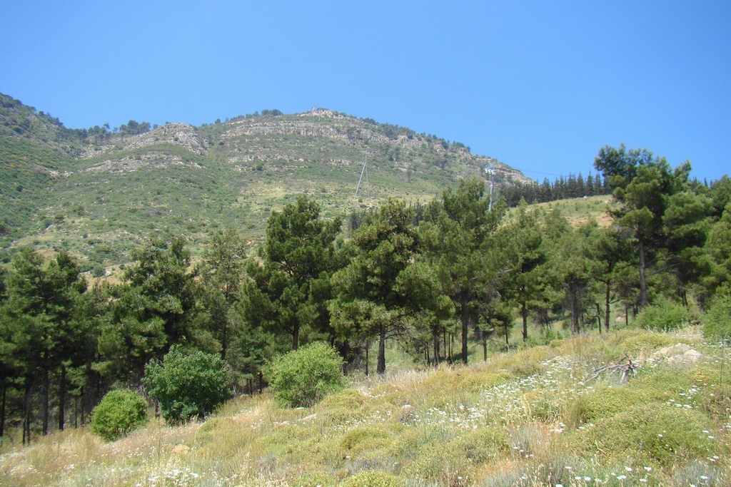 Israel. Ramot Naftali (Naphtali Ridge), Кирьят-Шмона