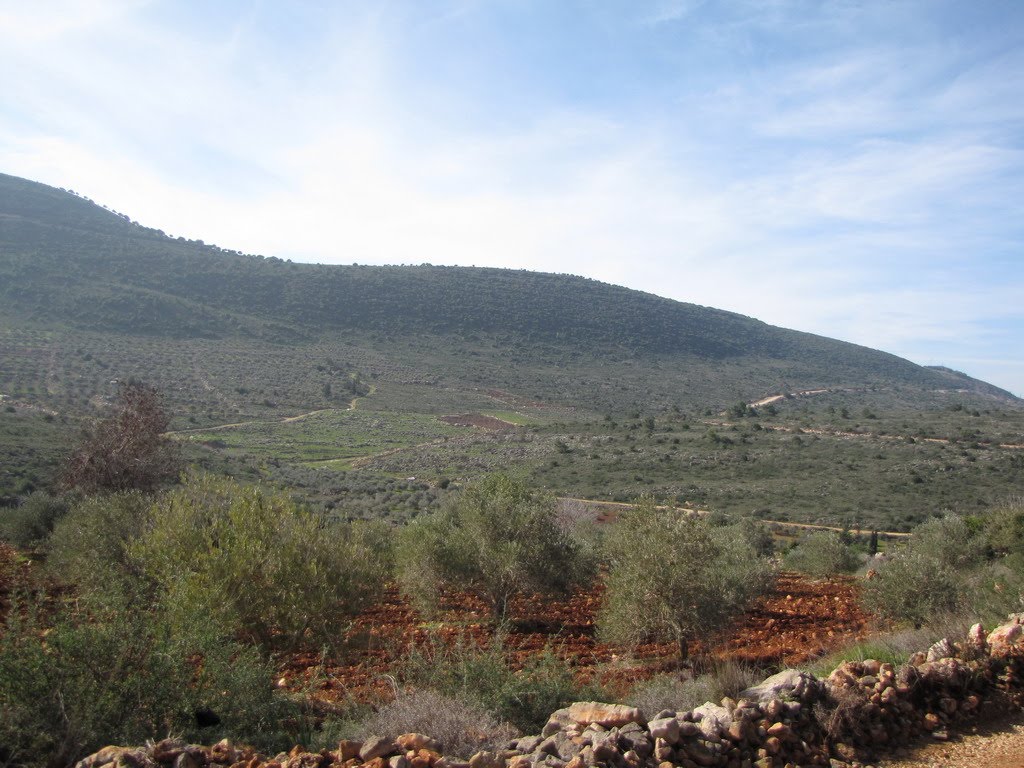 Saknin, General view at the village 2, Israel, Сахнин