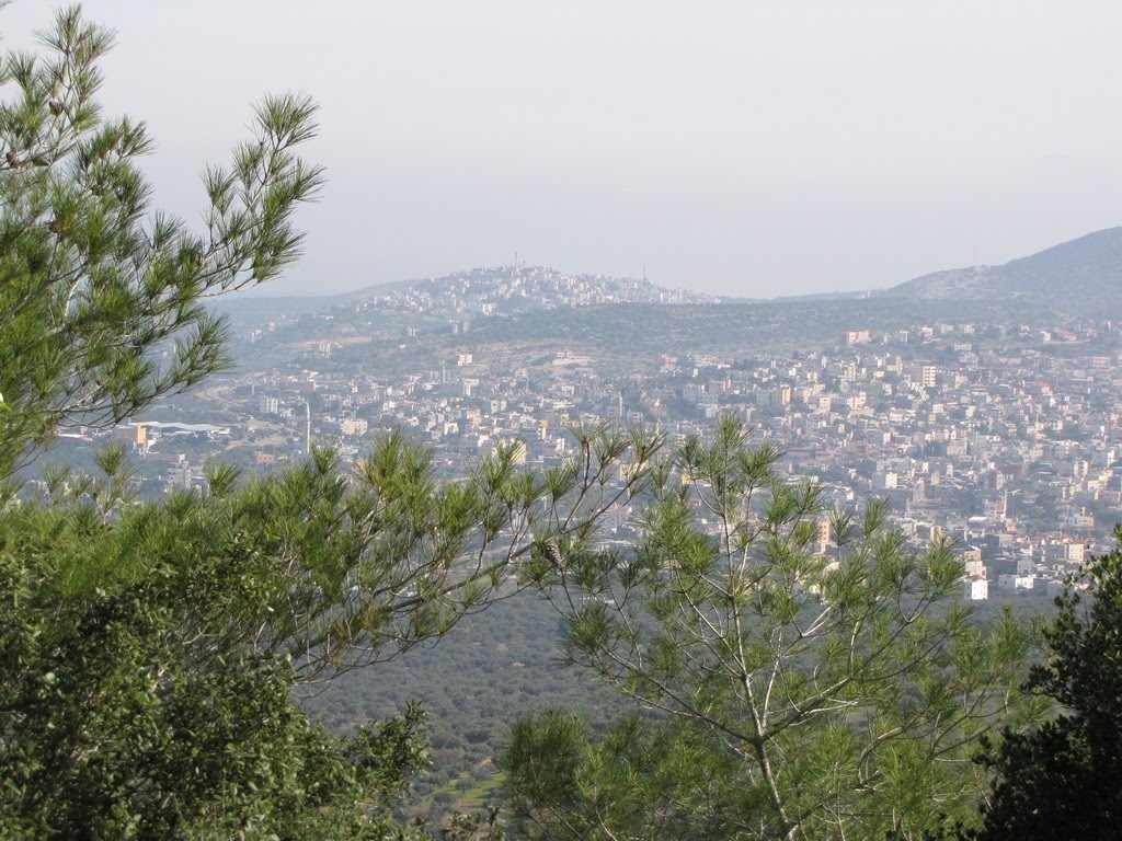 Araba, General View 4, Israel, Сахнин