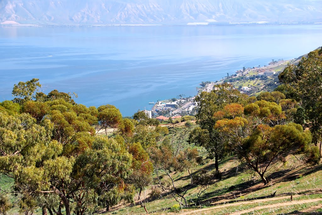 The Sea of Galilee Shore, Тверия