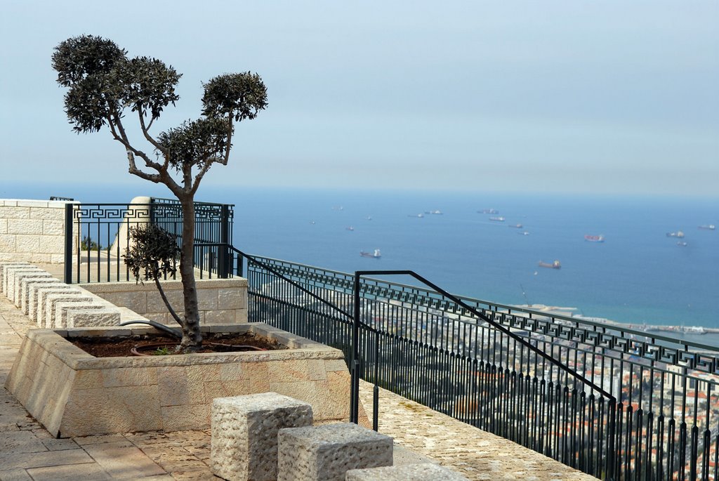 Haifa. Blick from Louis Promenade., Хайфа