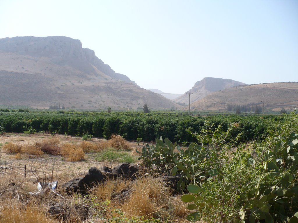 Mt. Arbel from shore of Galilee, Мигдаль аЭмек