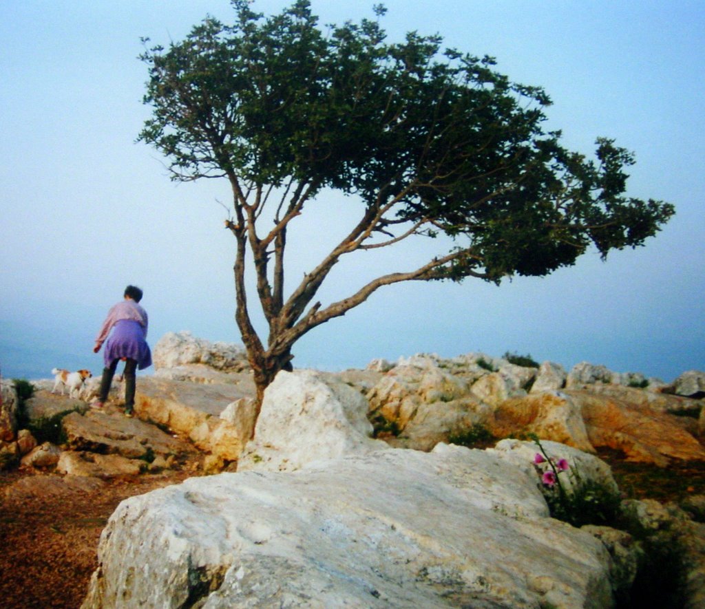 ISRAËL, Migdal: Mount Arbel near Tverya in Galilee ישראל, Мигдаль аЭмек