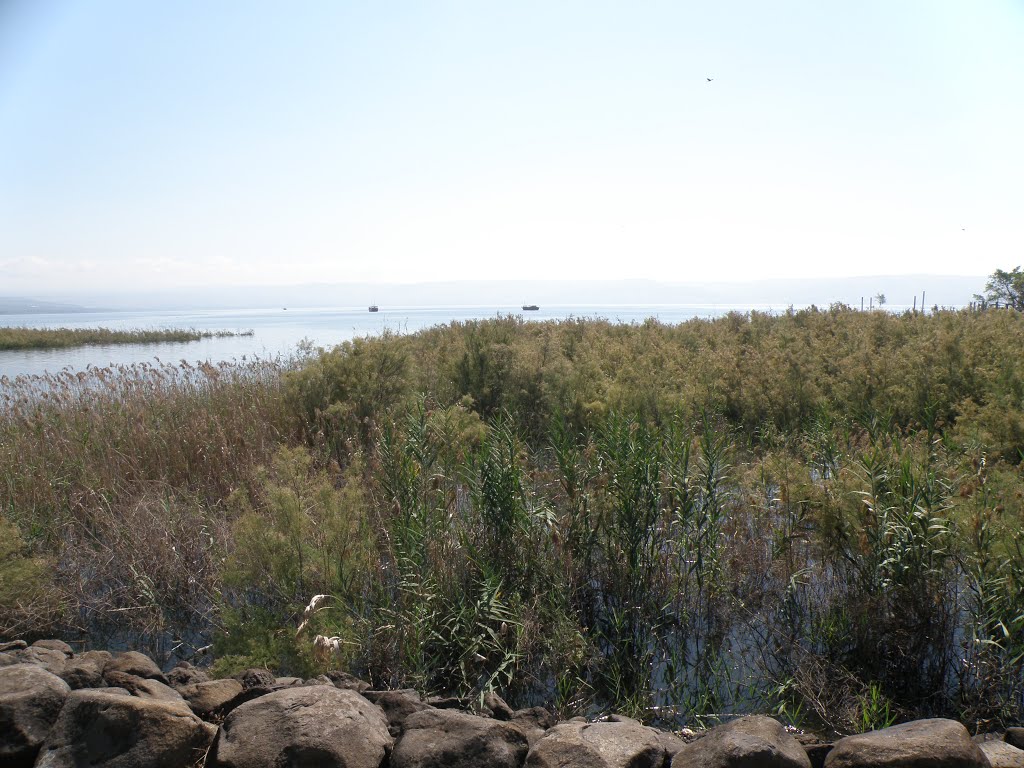 Shore of the Sea of Galilee / Břeh Galilejského jezera, Мигдаль аЭмек