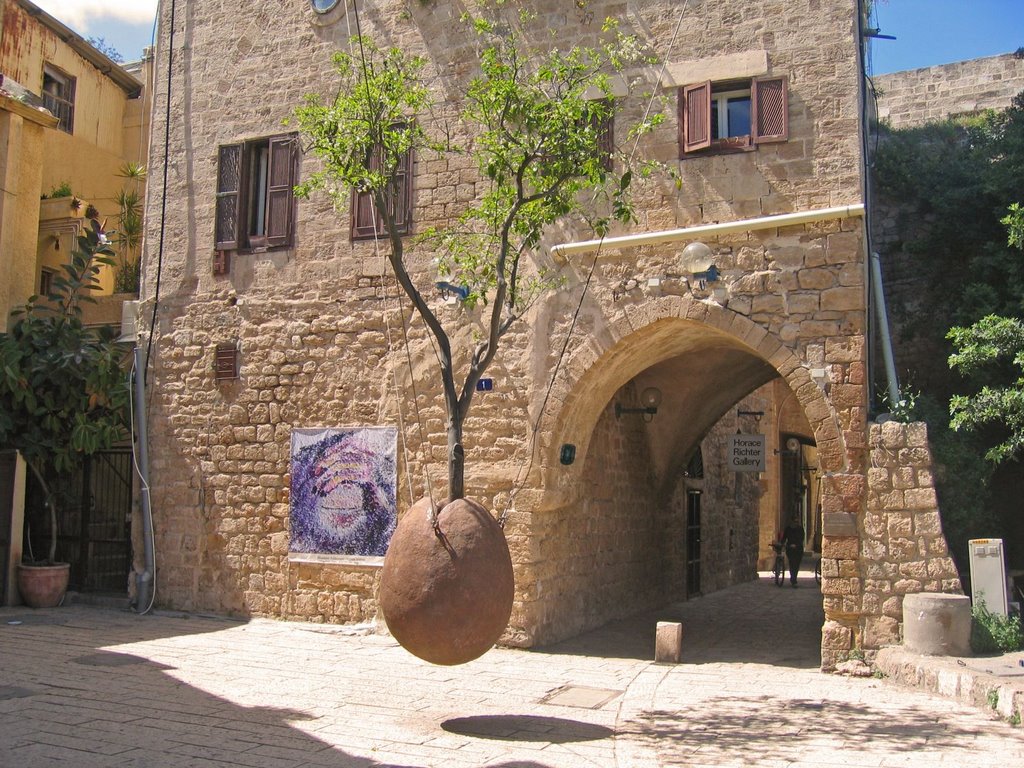 Old Jaffa: suspended orange tree, Бат-Ям