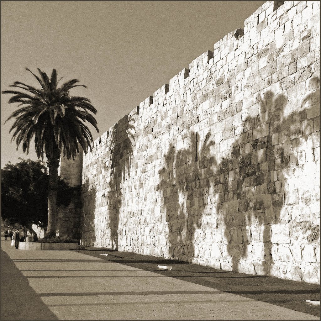 Про пальмы.., Иерусалим