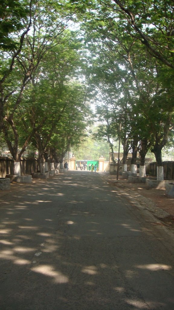 St. Patricks School Driveway in Asansol India, Асансол
