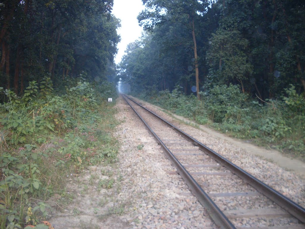 Metre Gauge Track, near Mailani Junction, Балли