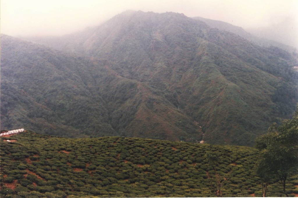 Darjeeling 12/2005, Даржилинг