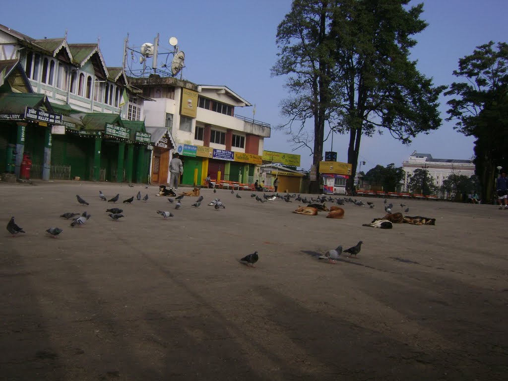 Darjeeling mall at morning, Даржилинг
