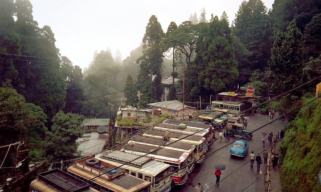 Darjeeling, Даржилинг