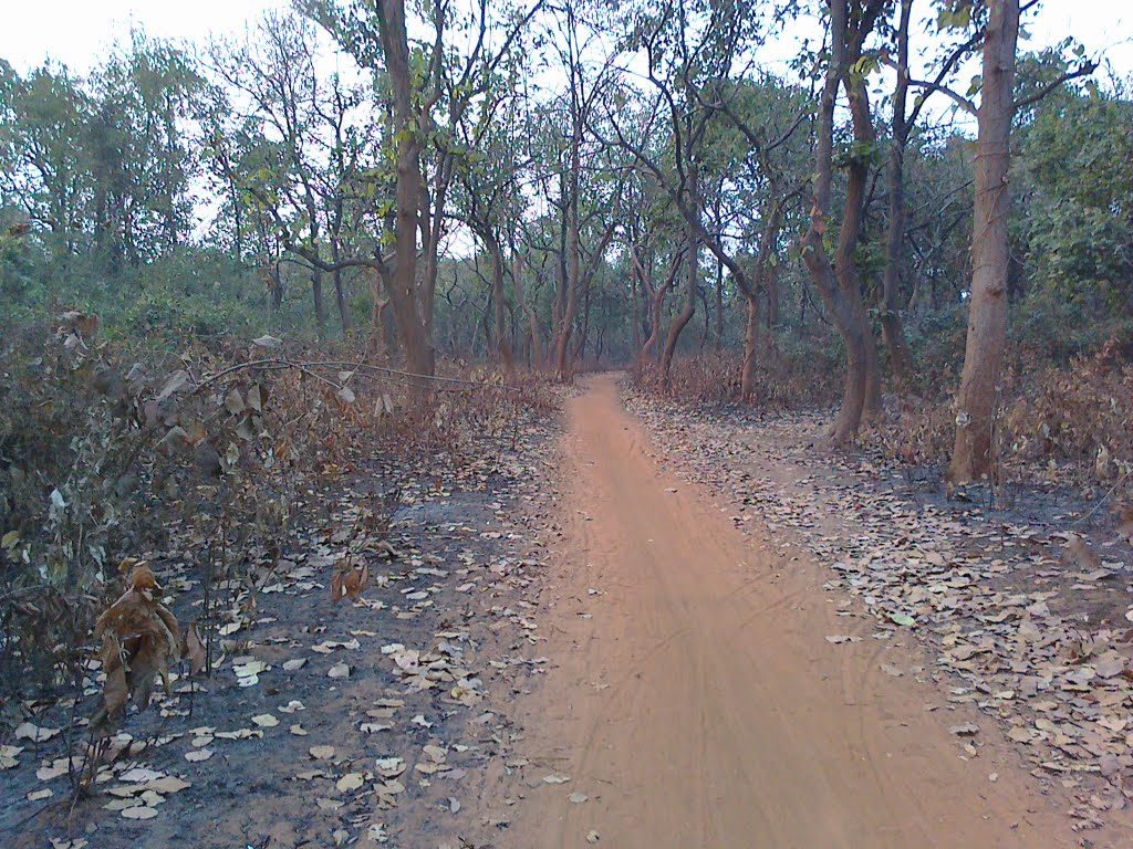 Forest Road Bidhannagar Side (Dibakar), Дургапур