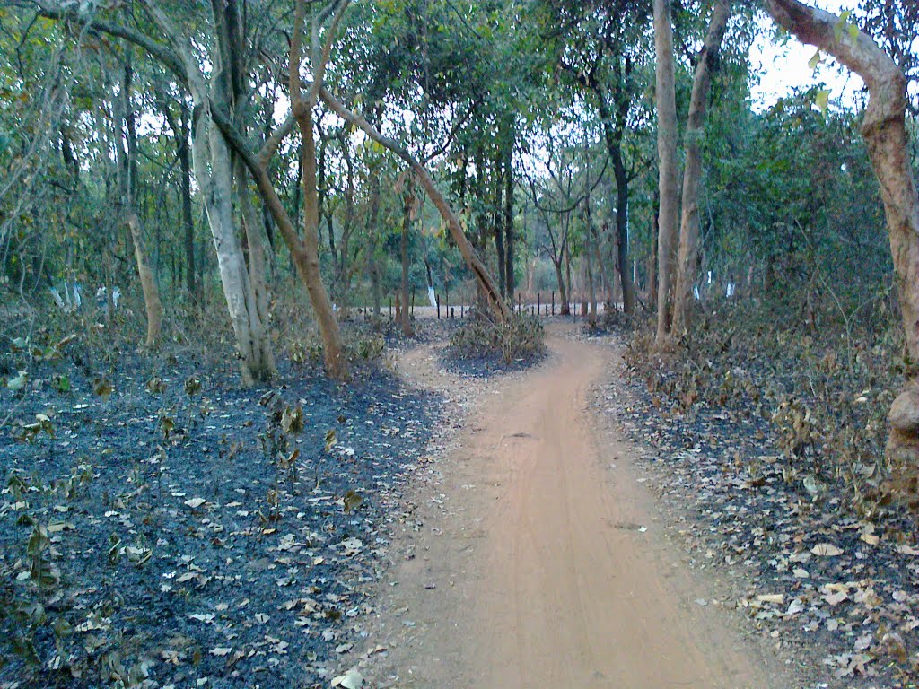 Forest Road ABL Side (Dibakar), Дургапур
