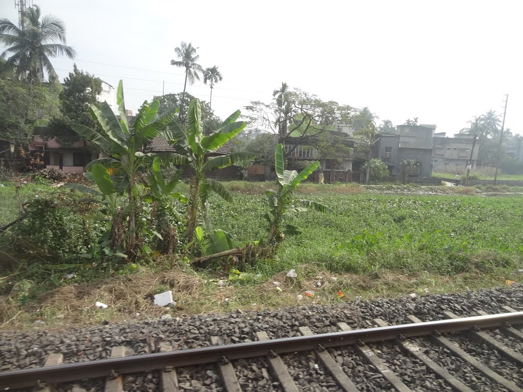 Agarpara, View from Train, Камархати
