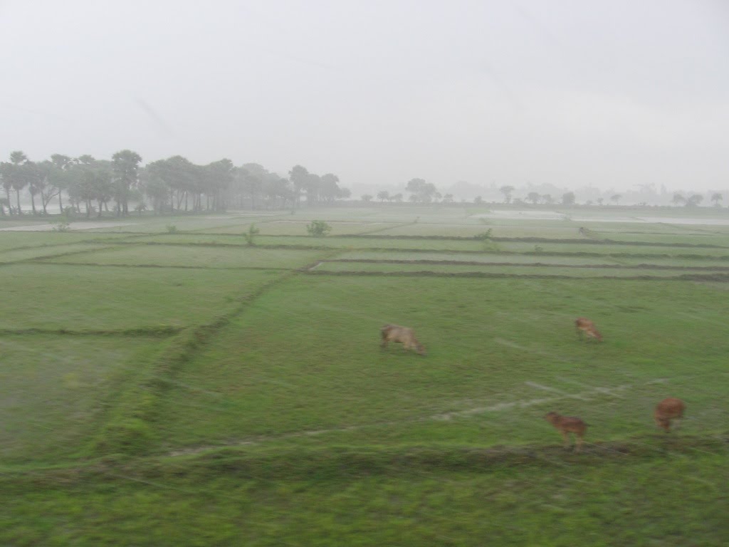 Downpour Blur, Кхарагпур