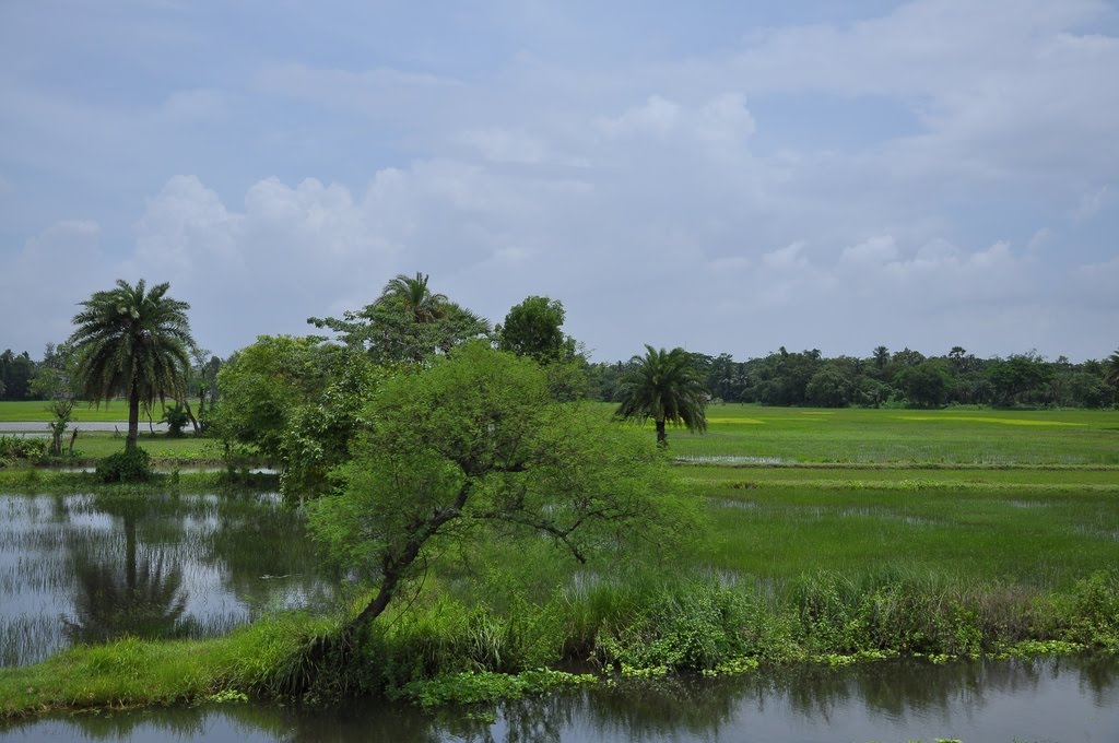 Green Bengal Countryside, Кхарагпур