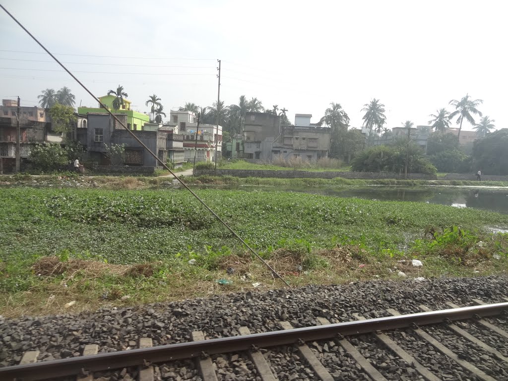 Agarpara, View from Train, Панихати