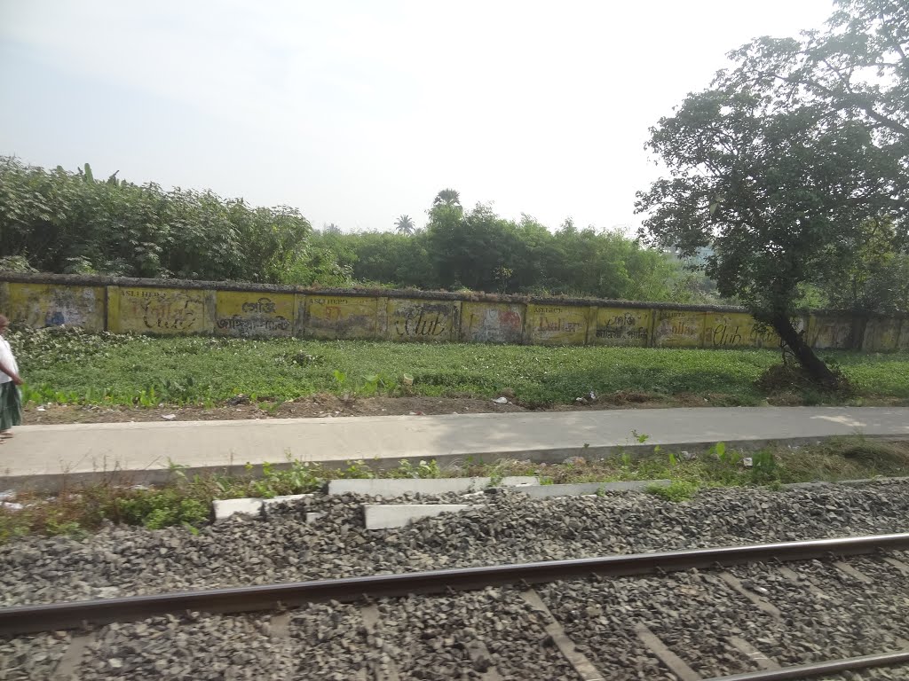 Sodpur, View from Train, Панихати