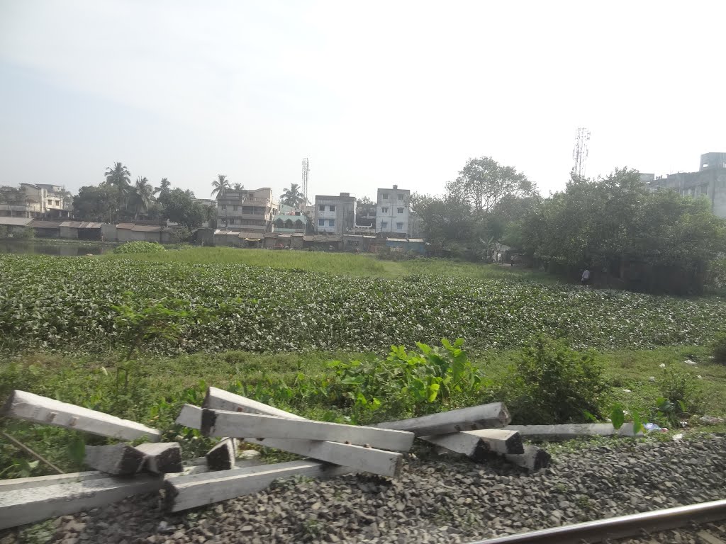 Sodpur, View from Train, Панихати
