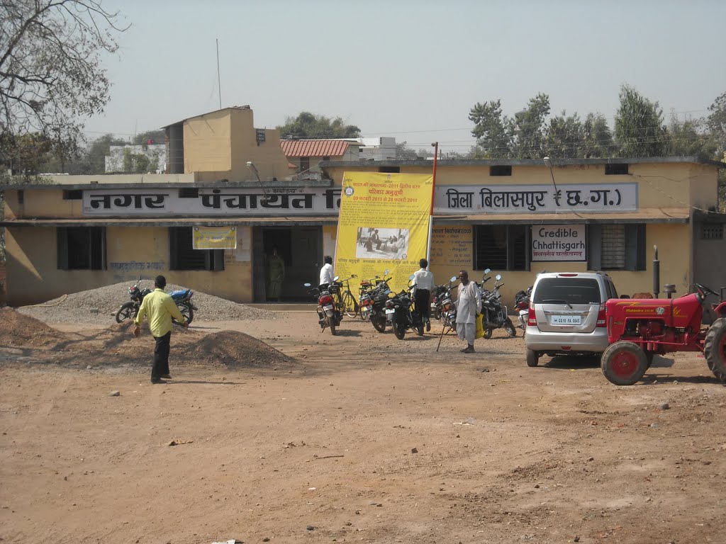 Nagar Panchayat Tifra, Биласпур