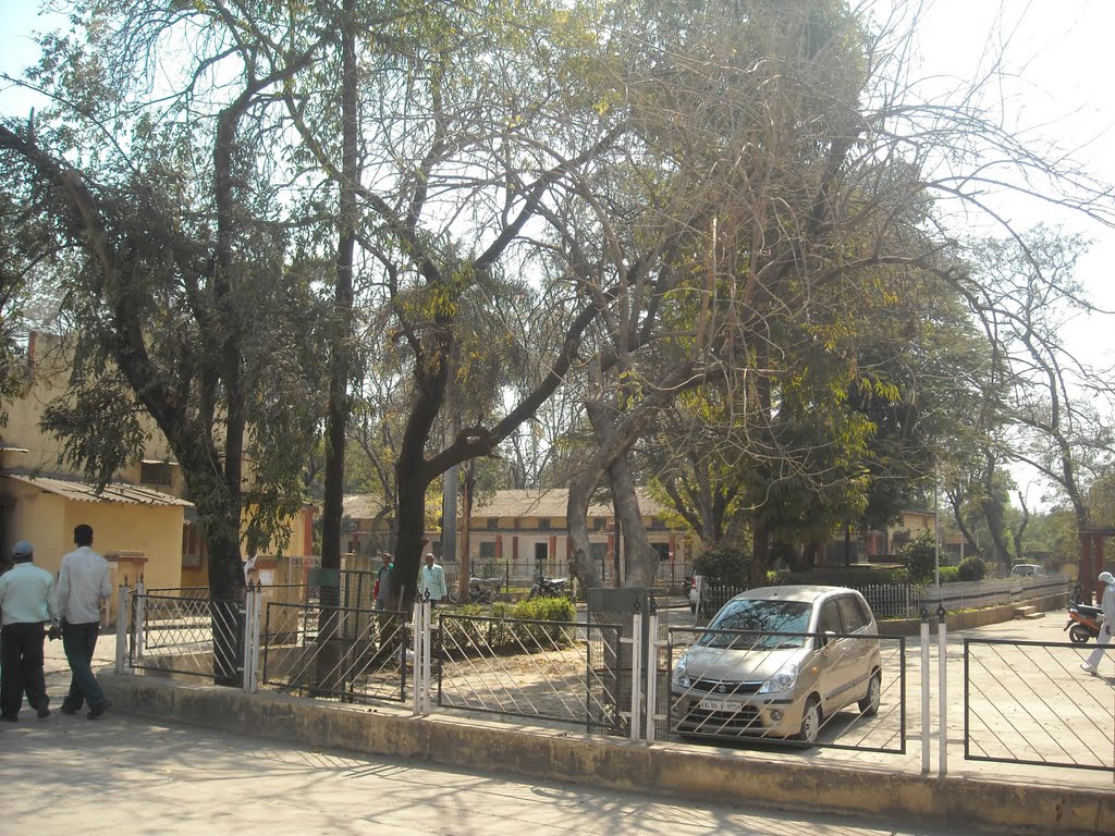 CSEB, Биласпур