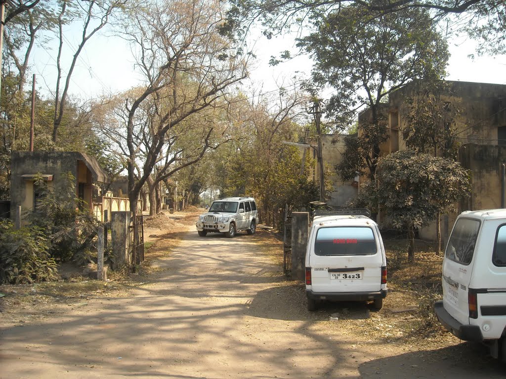 CSEB Colony, Биласпур
