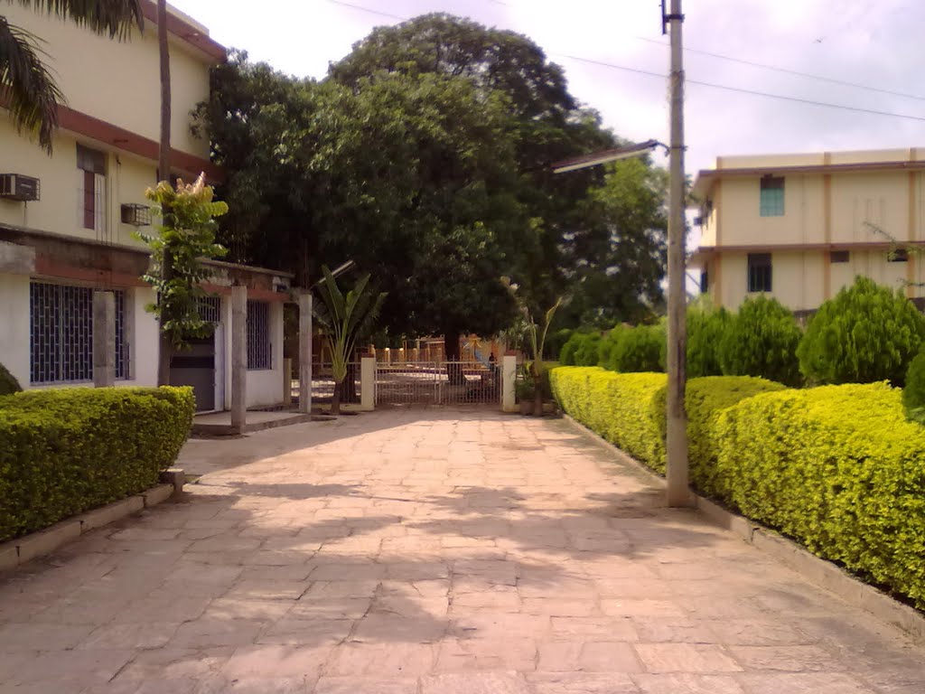 St francis school, Биласпур