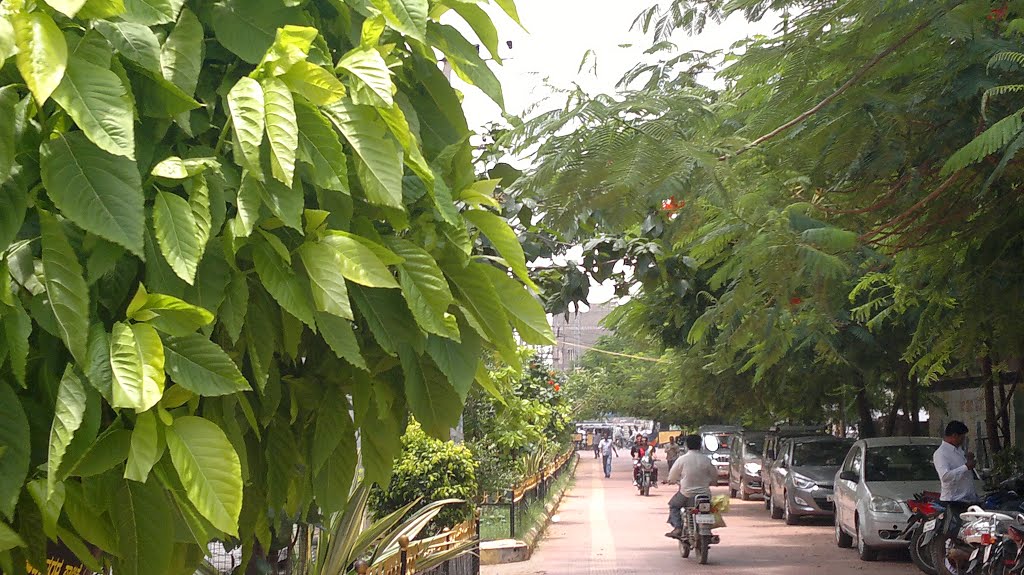 Dr.Rajkumar Udyanavana Road , Bellary, Karnataka, India, Беллари