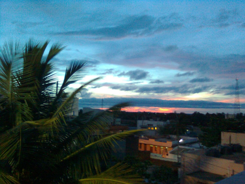 COOL SUNSET, Гадаг