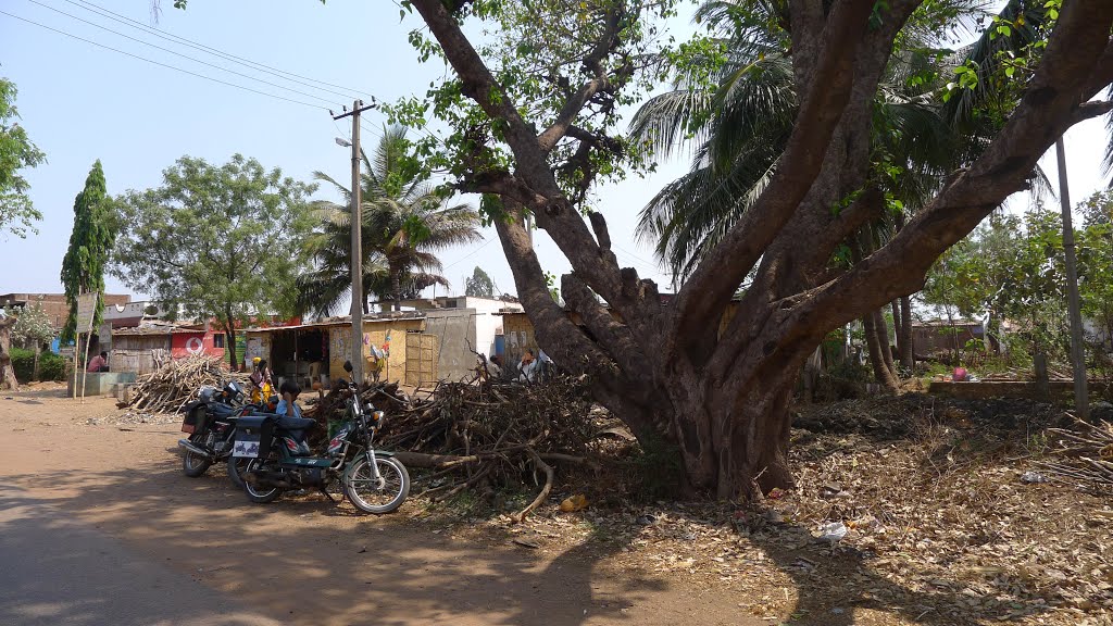 ══❍══ Kanakapur ══❍══ Karnataka ══❍══ India ══❍══, Давангер