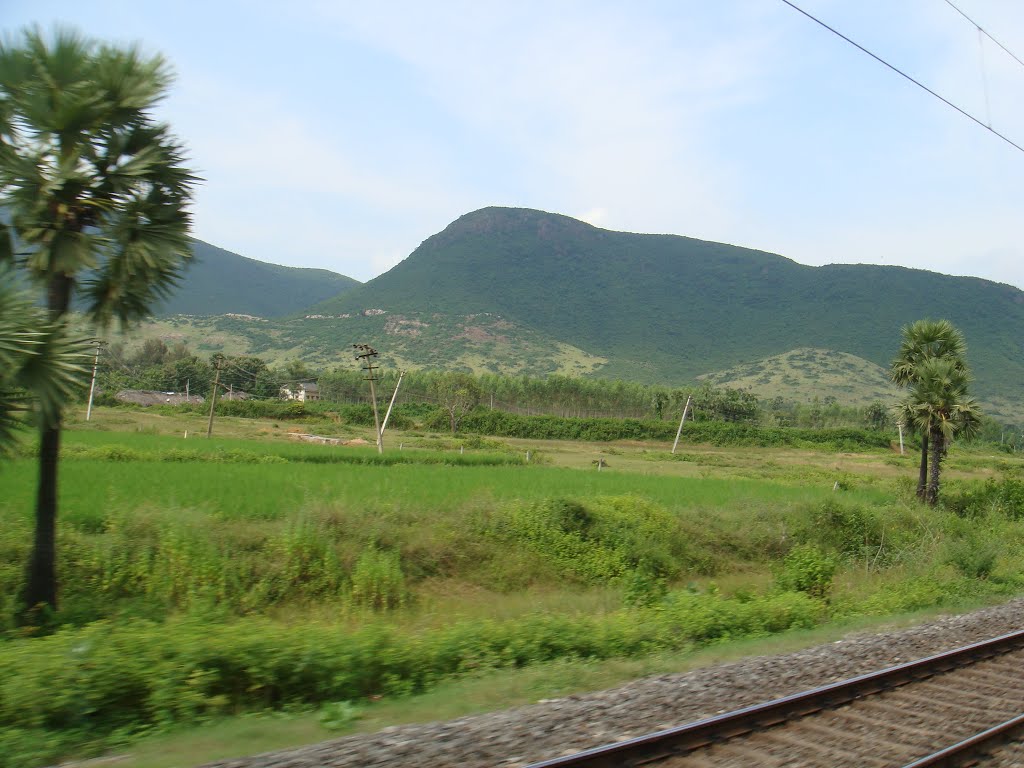 Nearing Vizianagaram Junction, View from Train, Визианагарам