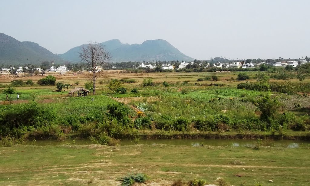 near Hanuman Nagar & Phool Bagh Palace,  Vijayanagaram. 7844, Визианагарам