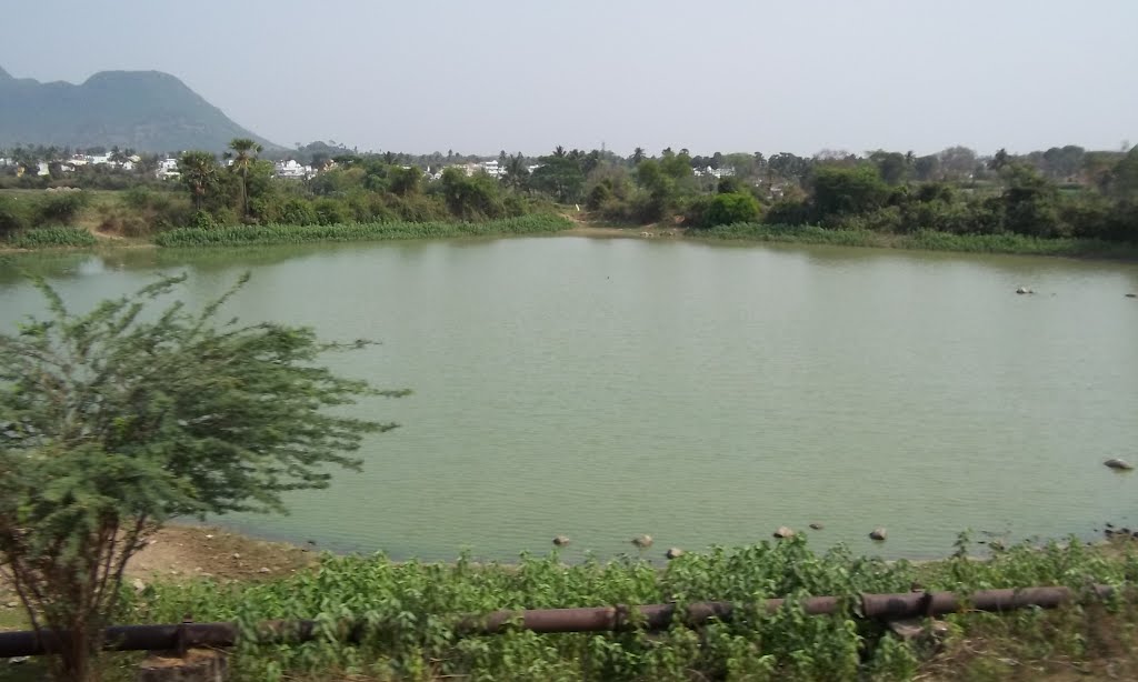 Pond near Kothapet,Vijayanagaram. 7845 143207, Визианагарам