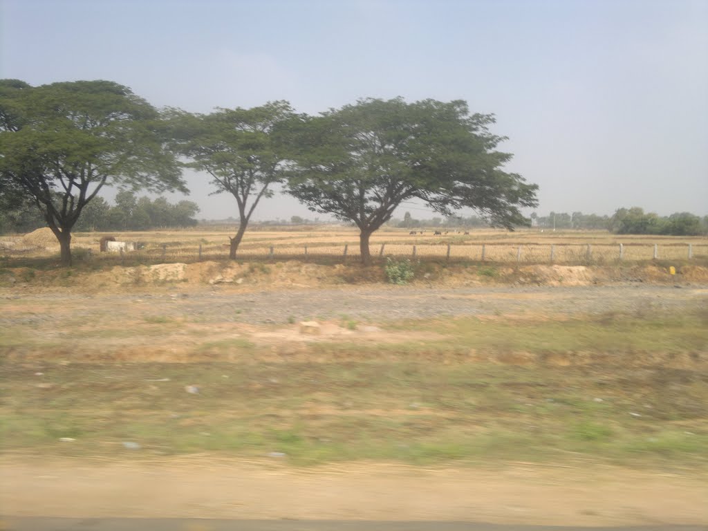 Agr Fields,New Mukundapuram, Mukundapuram, Andhra Pradesh 508233, India, Вияиавада