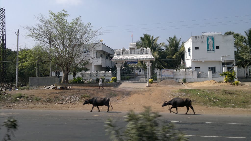 Sai Baba Mandiram, Jagarlamudi Vari Palem, Andhra Pradesh 523261, India, Гунтакал