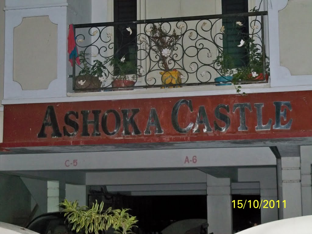 ashoka castle, Какинада