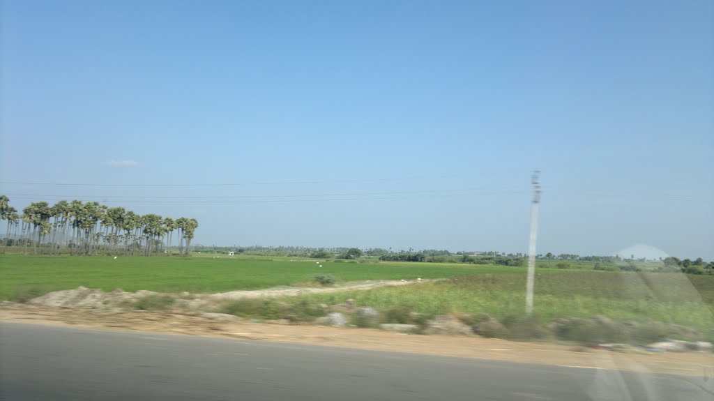 Agr Fields,Prakasam, Andhra Pradesh, India,NH 5., Нандиал