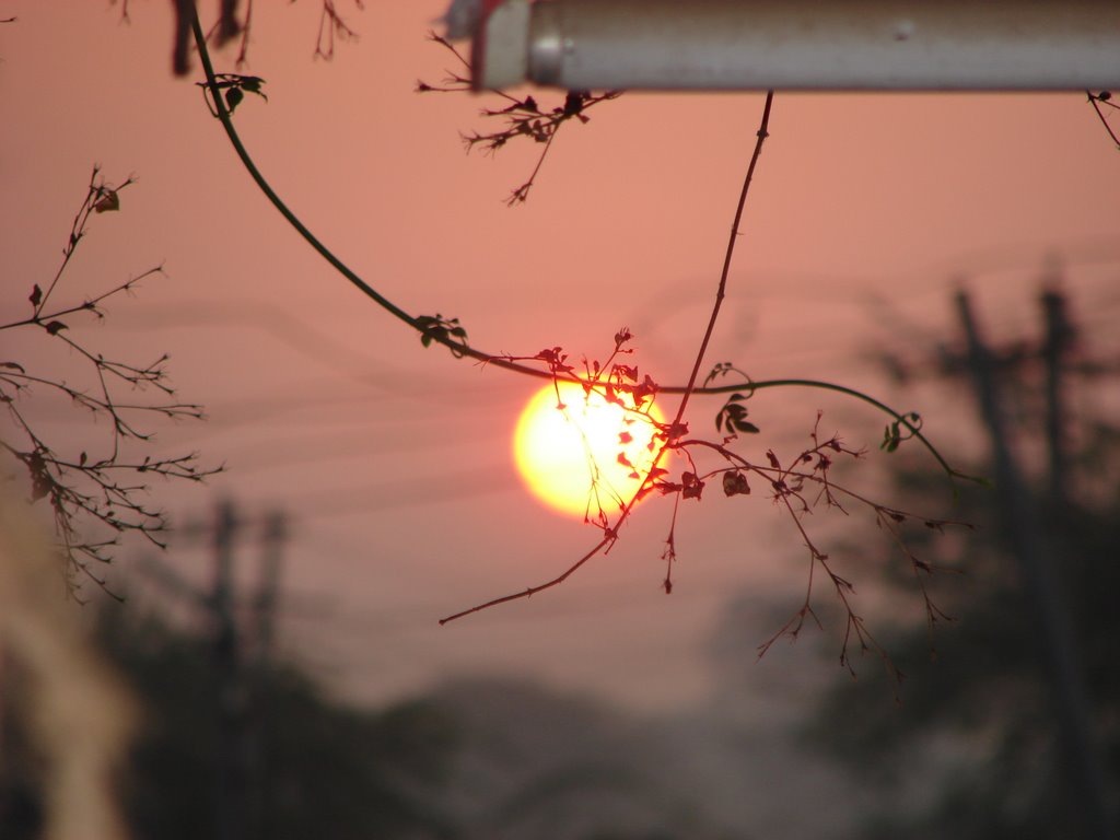 Sunrise at NZB, Низамабад