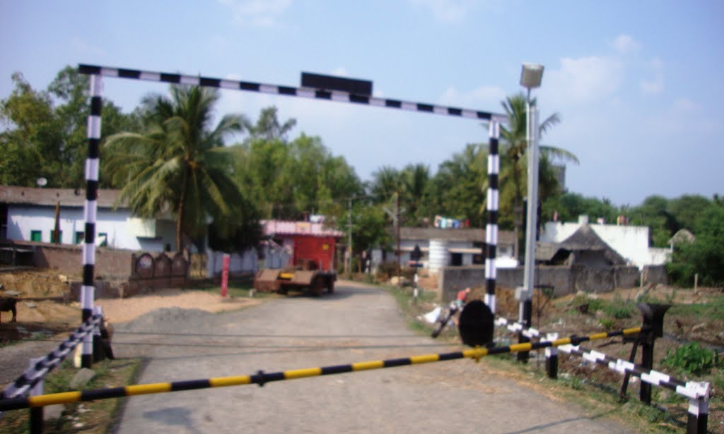 Road Cross.  తెనాలి  தெனாலி तॆनाली Tenali   8318, Тенали