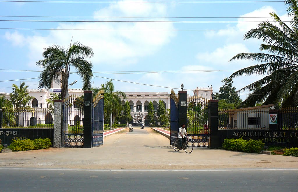Agricultural College of Bapatla, Чирала