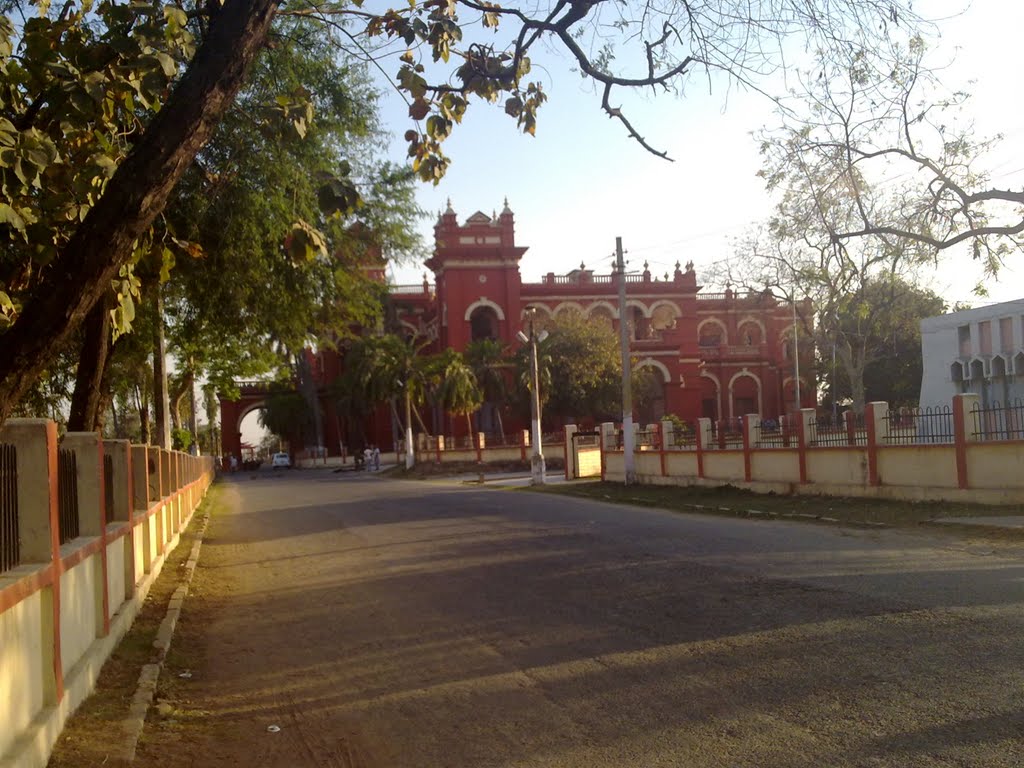 Road to LAkshmivilas Palace, Дарбханга