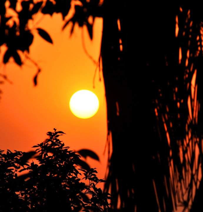 Sunset, Дарбханга