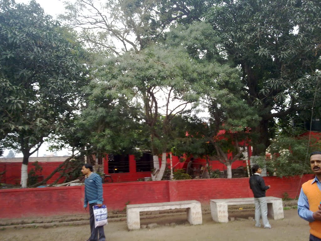 Kali Mandir Parisar, Дарбханга
