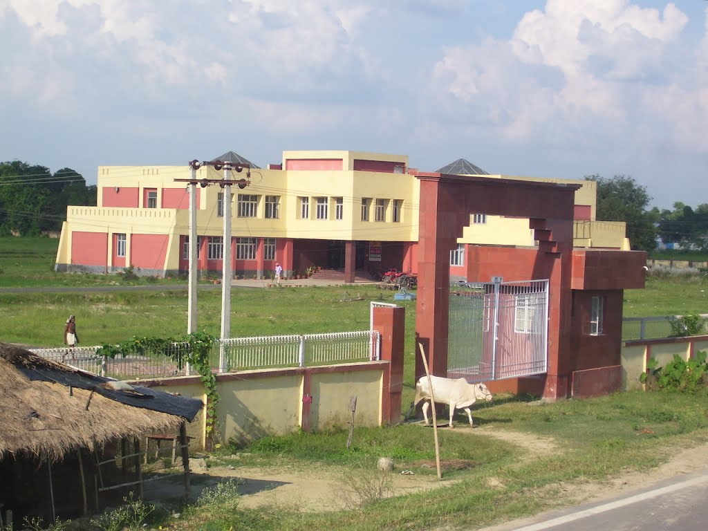 NATIOANAL MAKHANA RESEARCH CENTRE, Дарбханга