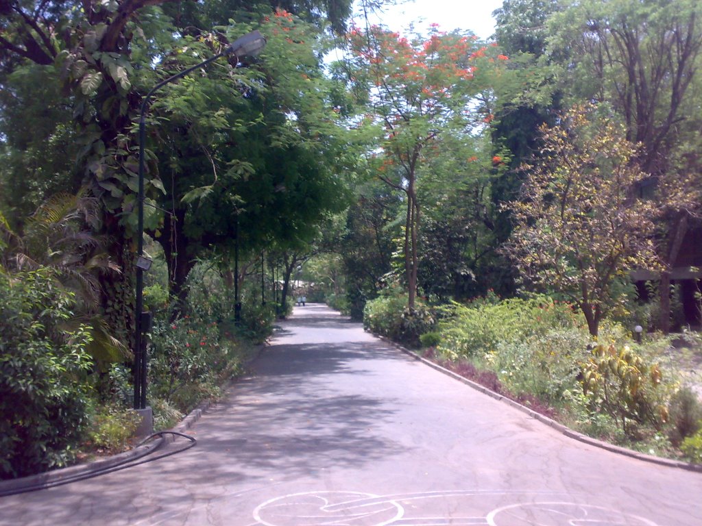 NID Campus, Ахмадабад