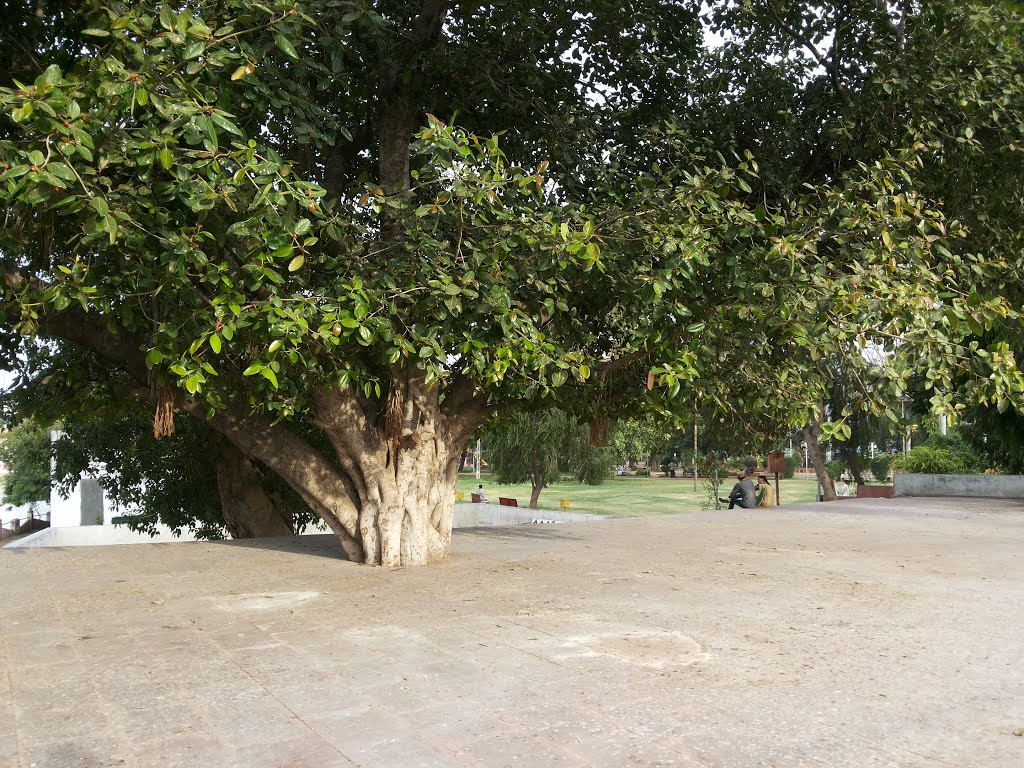 Godhra nehru garden, Годхра