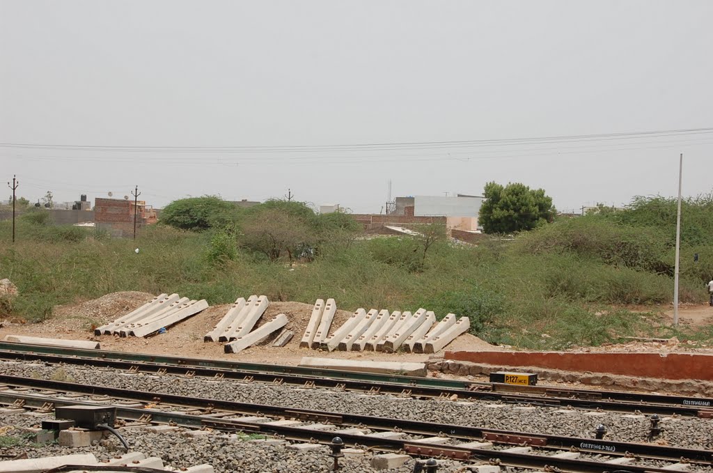 DPAK MALHOTRA, Surendernagar Junction Railway Stn, Ahmedabad-Surendernagar Track, गुजरात भारत Gujarat Bharat ગુજરાત ભારત દેશનું, Дхорайи